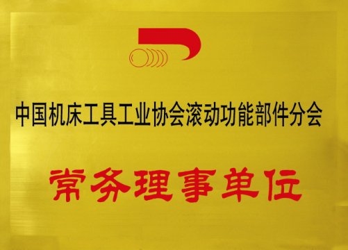 中國機床工具工業(yè)協(xié)會滾動功能部件分會常務理事單位